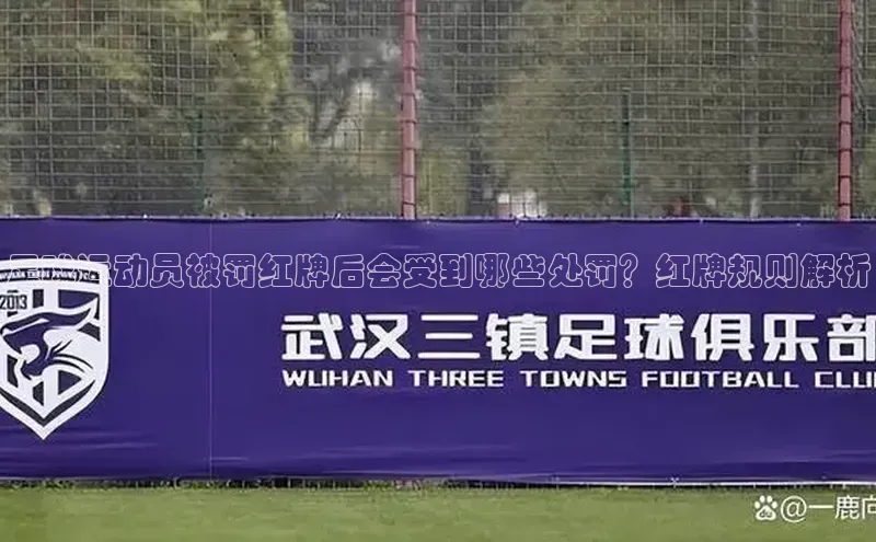 极悦平台登录入口中海达足球运动员被罚红牌后会受到哪些处罚？红牌规则解析