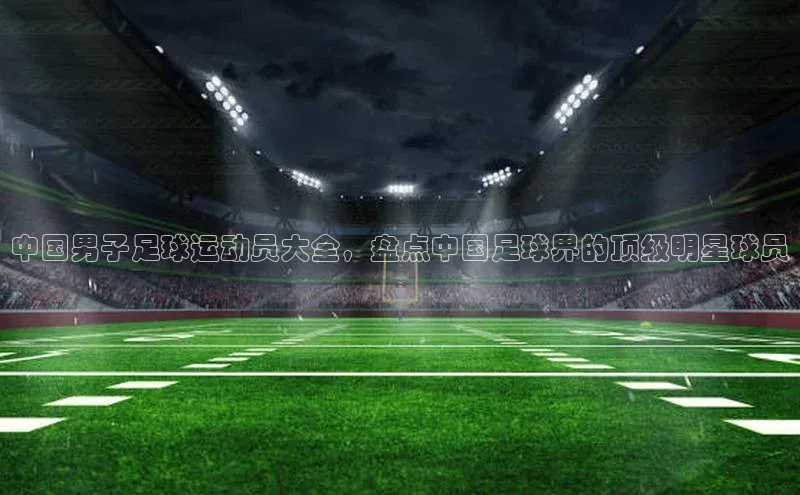 极悦app下载官网知乎中国男子足球运动员大全，盘点中国足球界的顶级明星球员