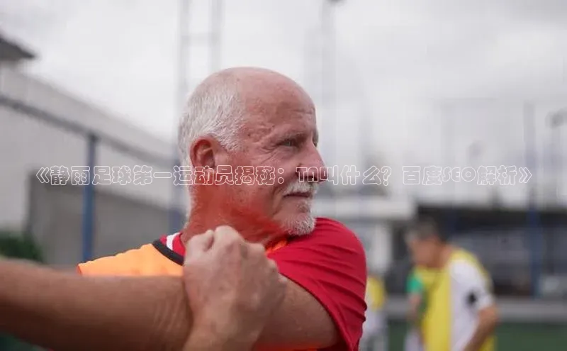 极悦官方网汉得信息《静雨足球第一运动员揭秘：TA叫什么？百度SEO解析》