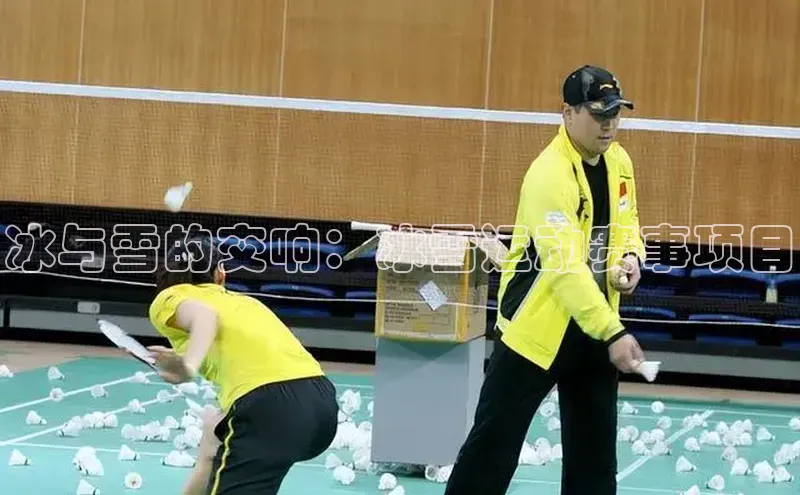 冰与雪的交响：冰雪运动赛事项目